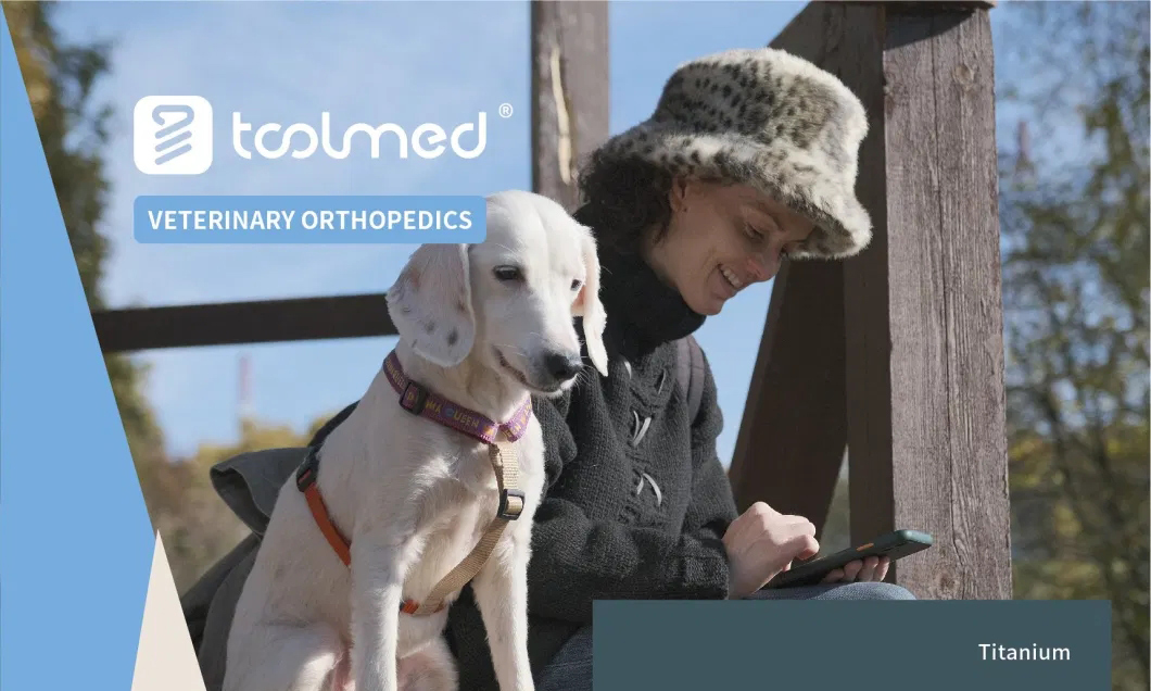 Veterinary-Orthopedic-3D-Printing-Tta-Cage-Titanium-Implants-for-Animal-Tibial-Surgery.webp-(2.1.jpg