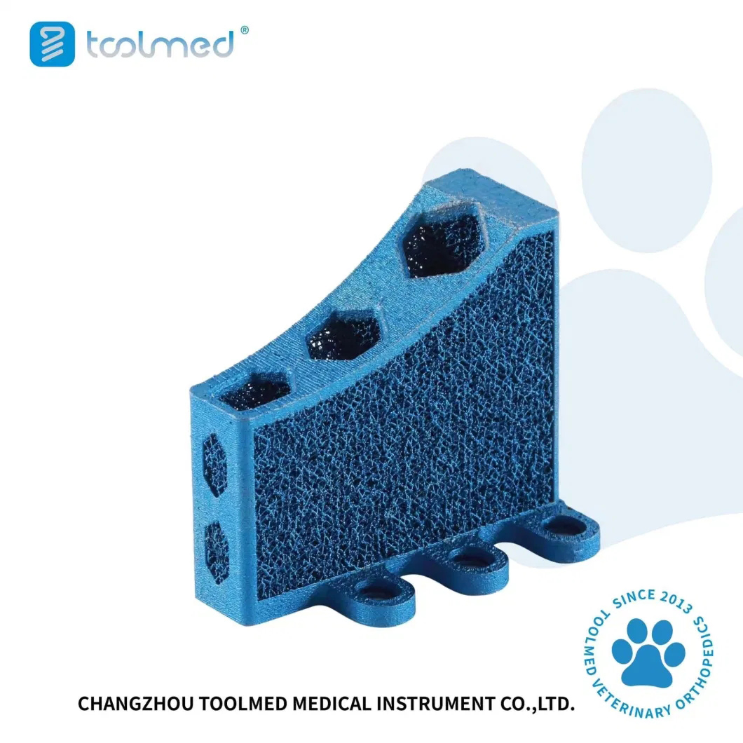 Veterinary-Orthopedic-3D-Printing-Tta-Cage-Titanium-Implants-for-Animal-Tibial-Surgery.jpg