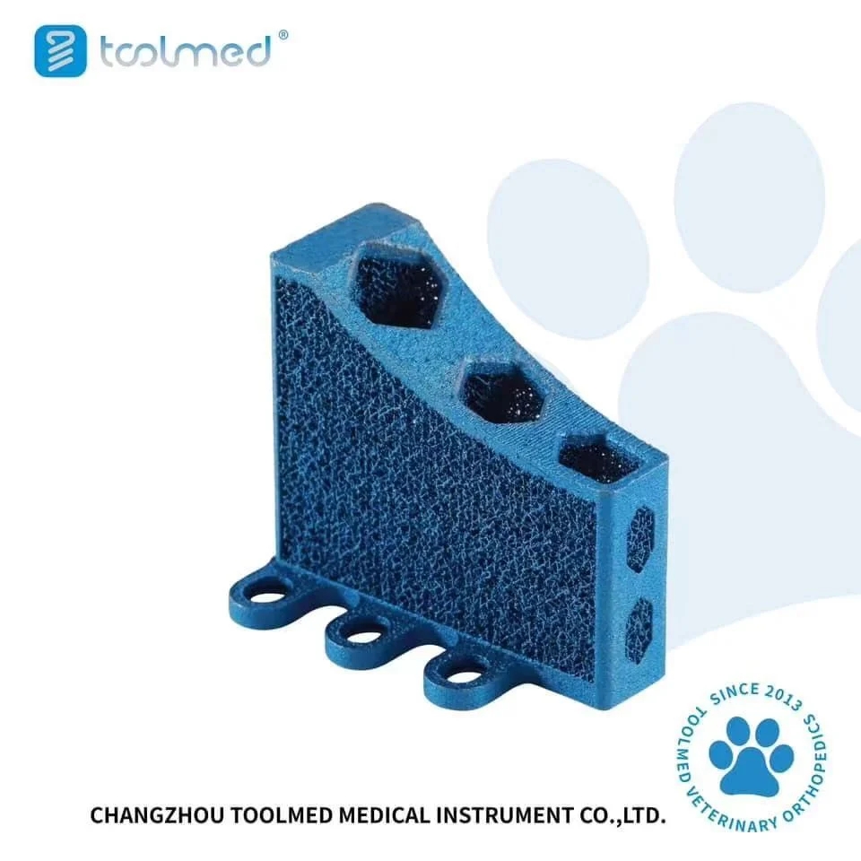 Veterinary-Orthopedic-3D-Printing-Tta-Cage-Titanium-Implants-for-Animal-Tibial-Surgery.webp.jpg